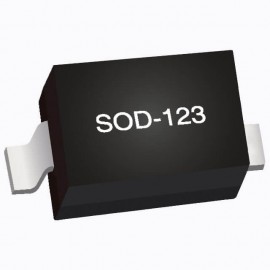 PJSD24_R1_00001