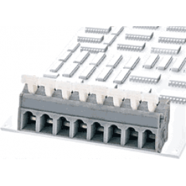 DG242R-10.16-02P-11-00A(H)